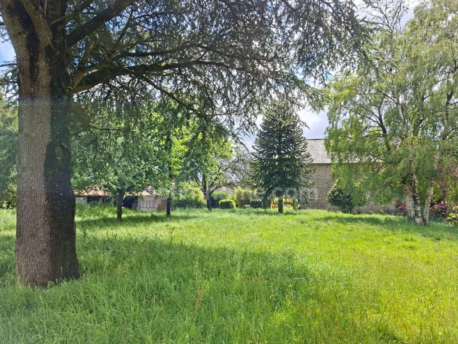  for sale house Le Teilleul Manche 5