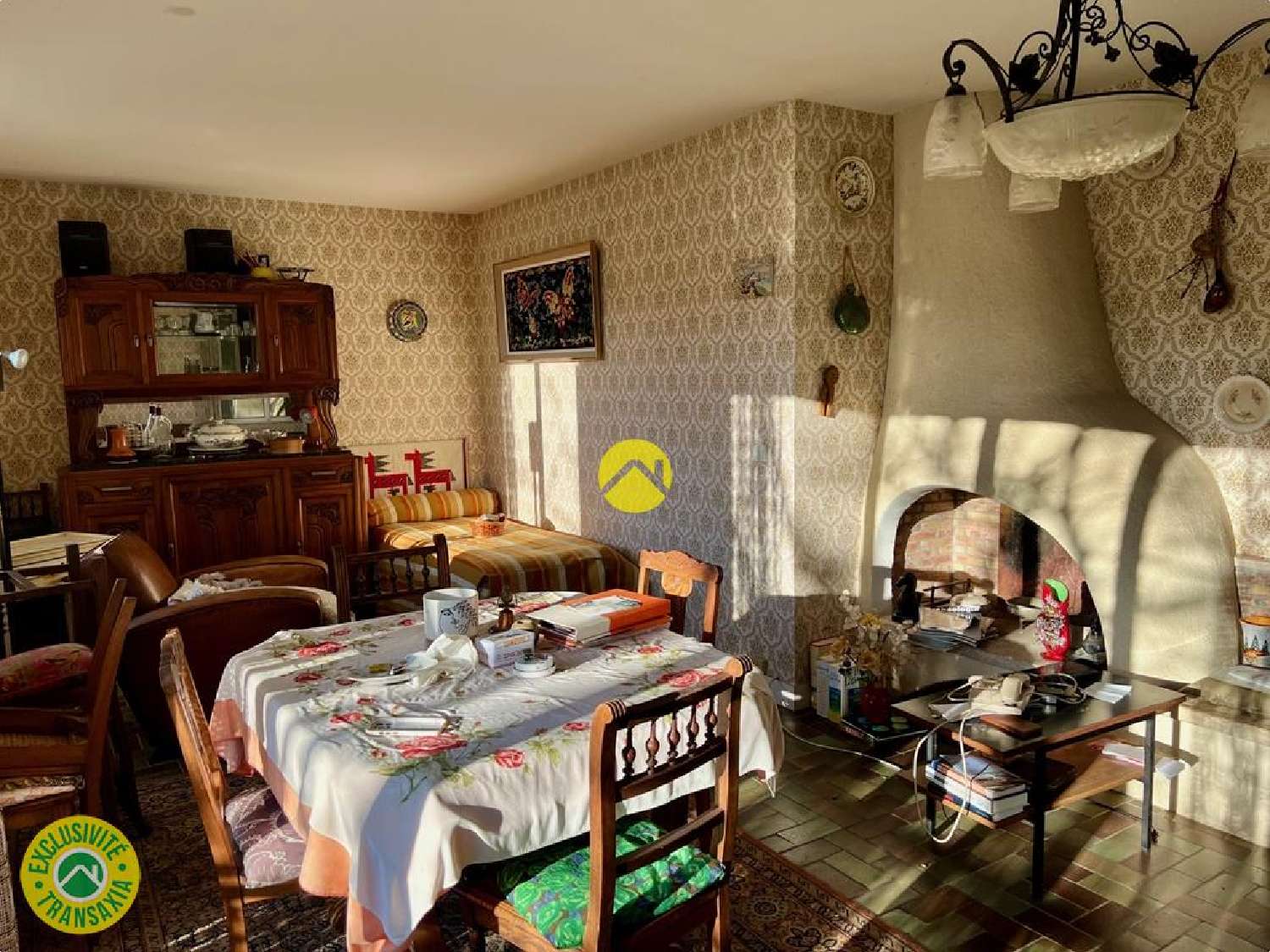 te koop huis Léré Cher 3