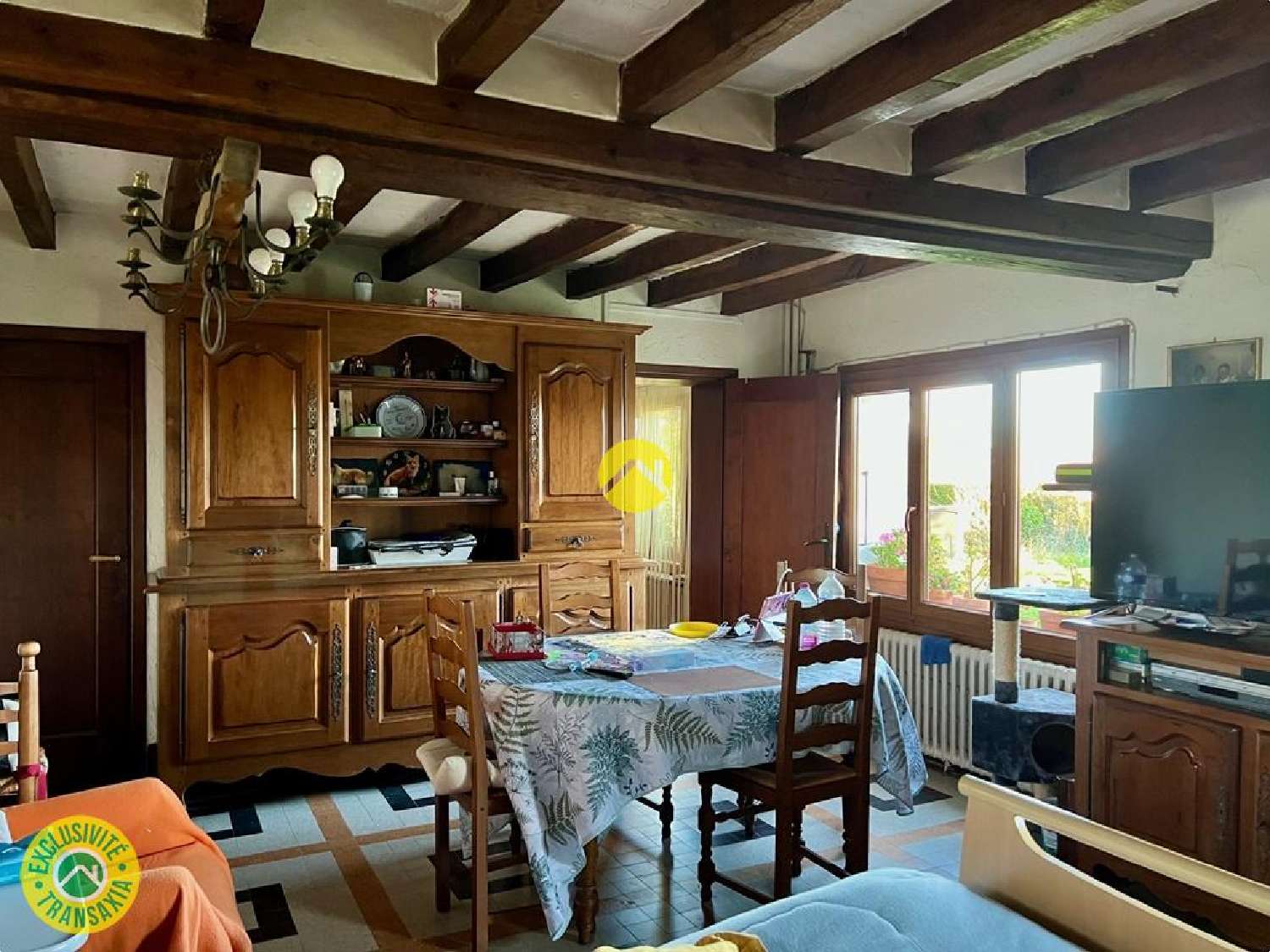 te koop huis Léré Cher 2