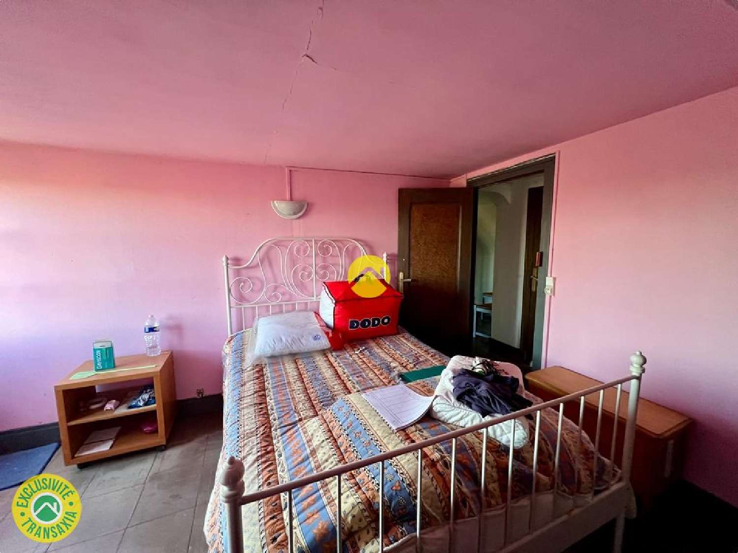 te koop huis Léré Cher 5