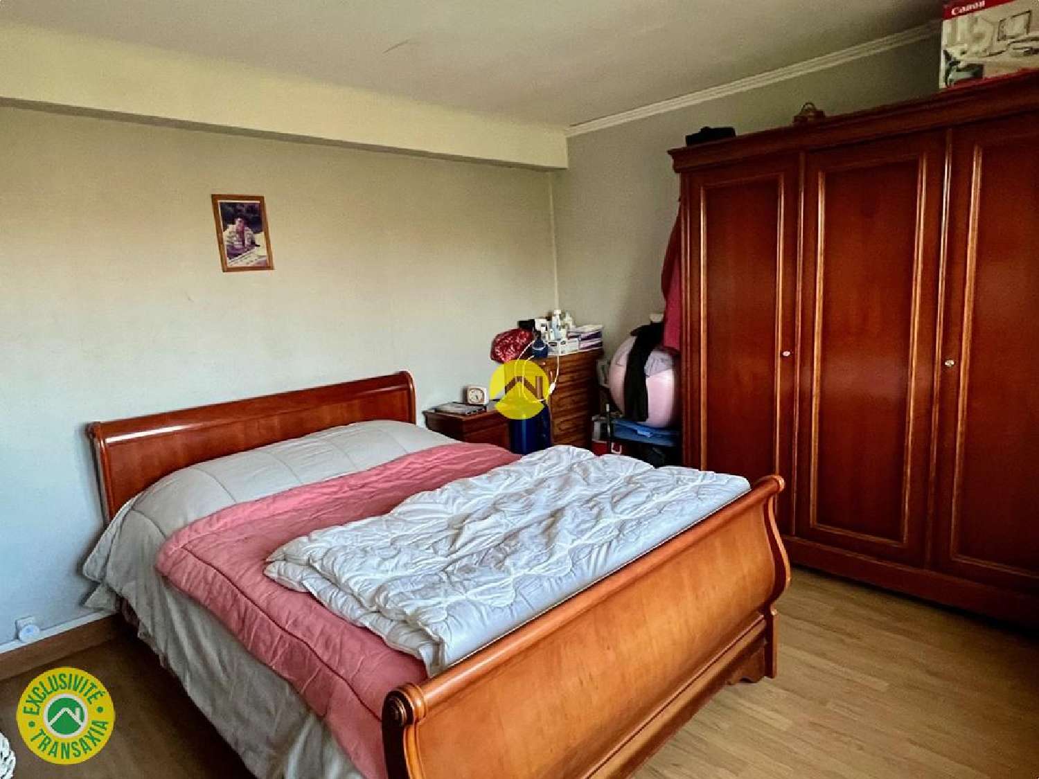 te koop huis Léré Cher 6