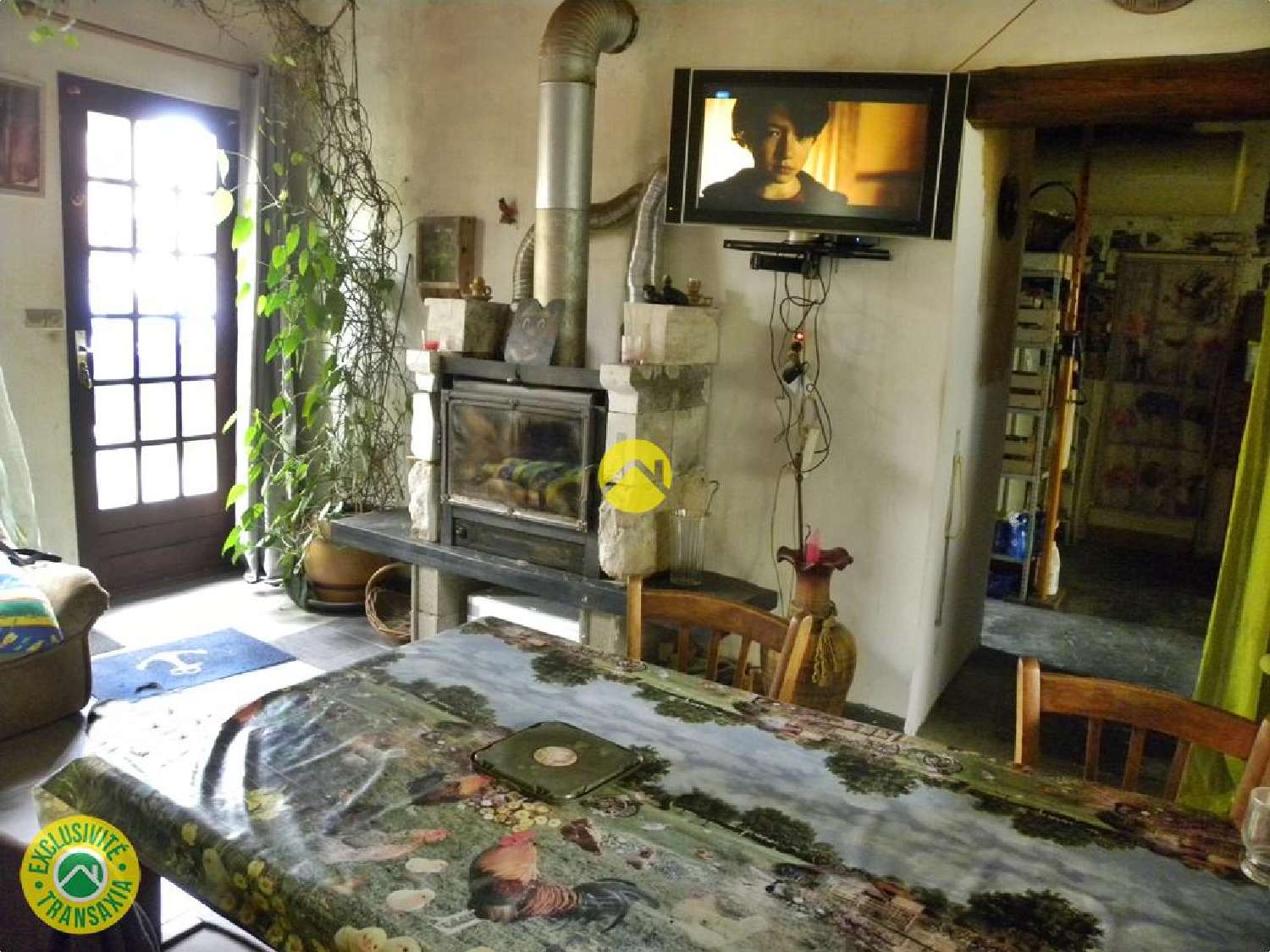  te koop huis Léré Cher 3