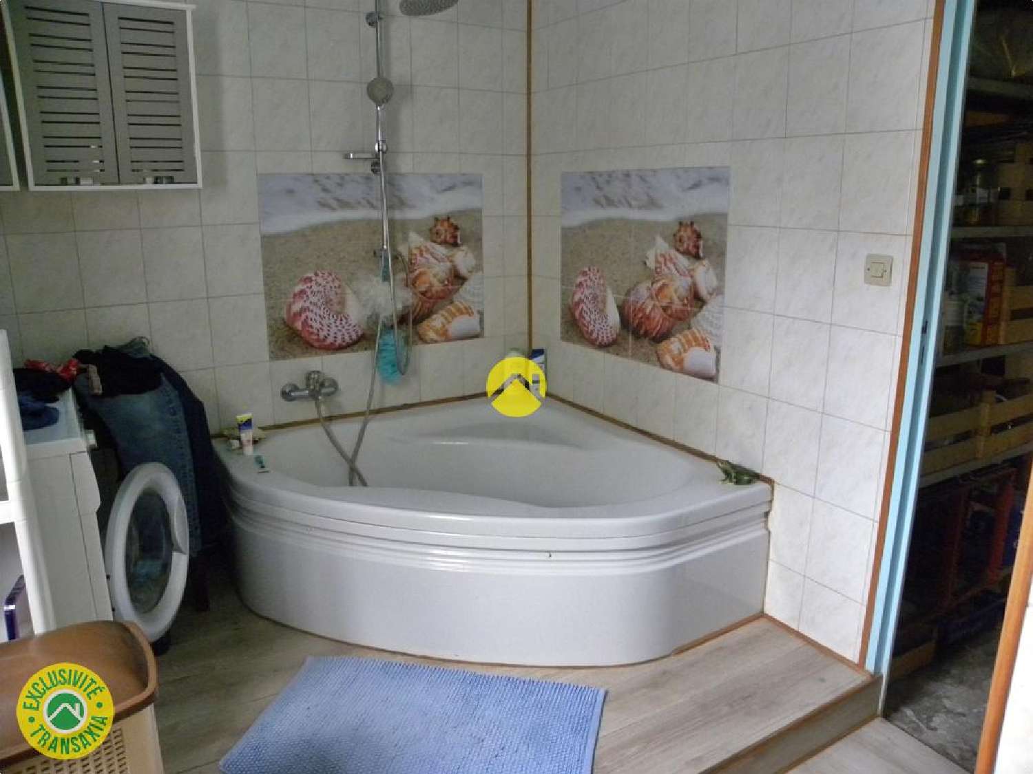  te koop huis Léré Cher 5