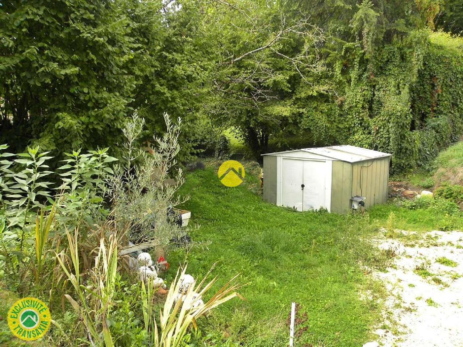  te koop huis Léré Cher 8