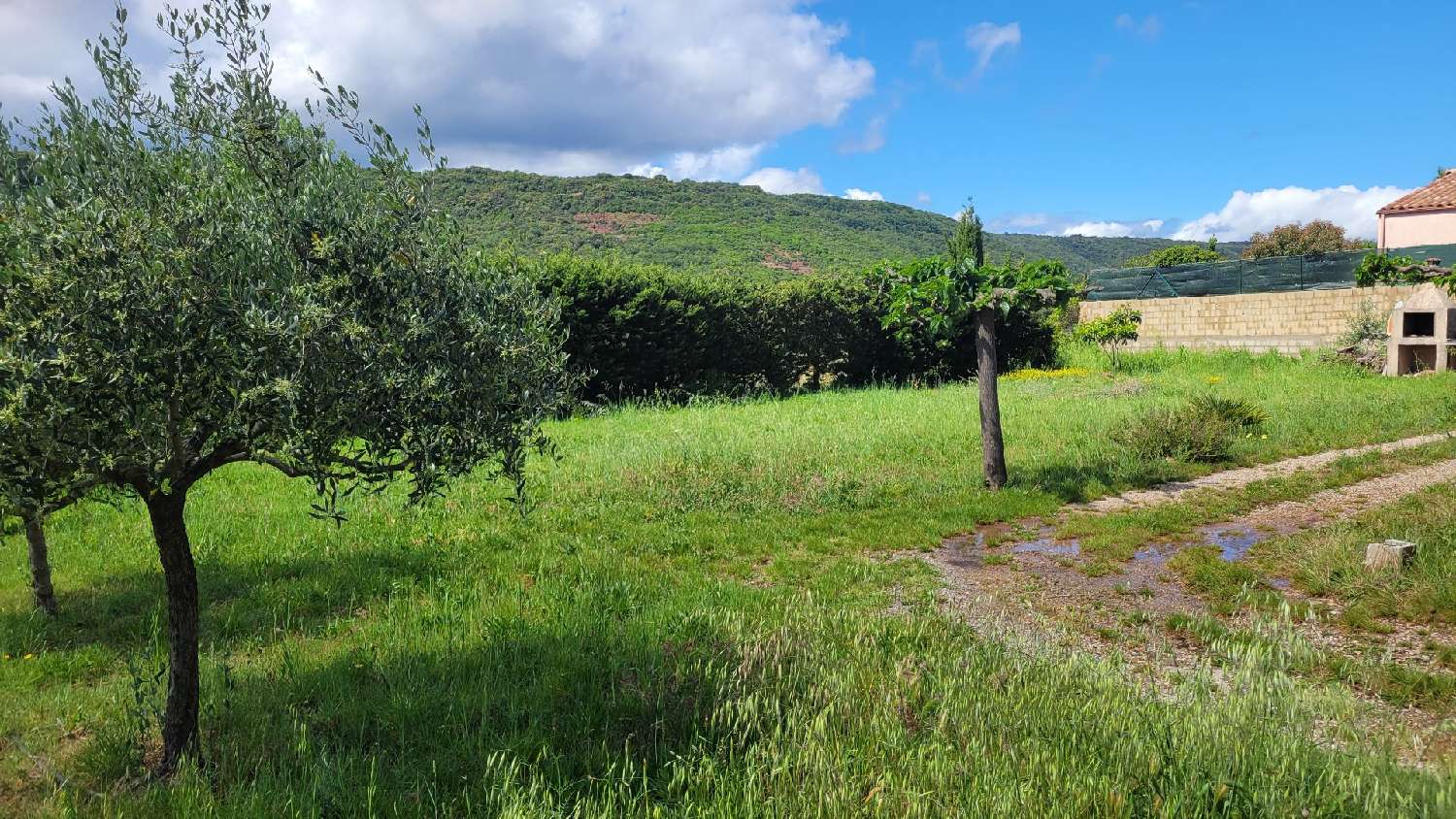 en venta casa Lodève Hérault 2