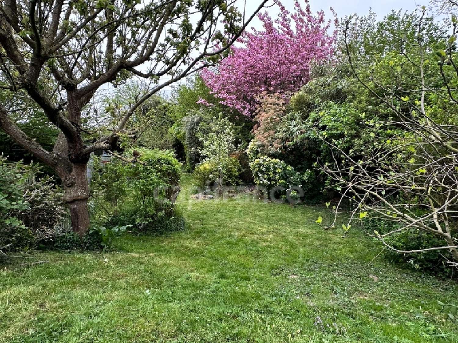  for sale house Lompret Nord 2