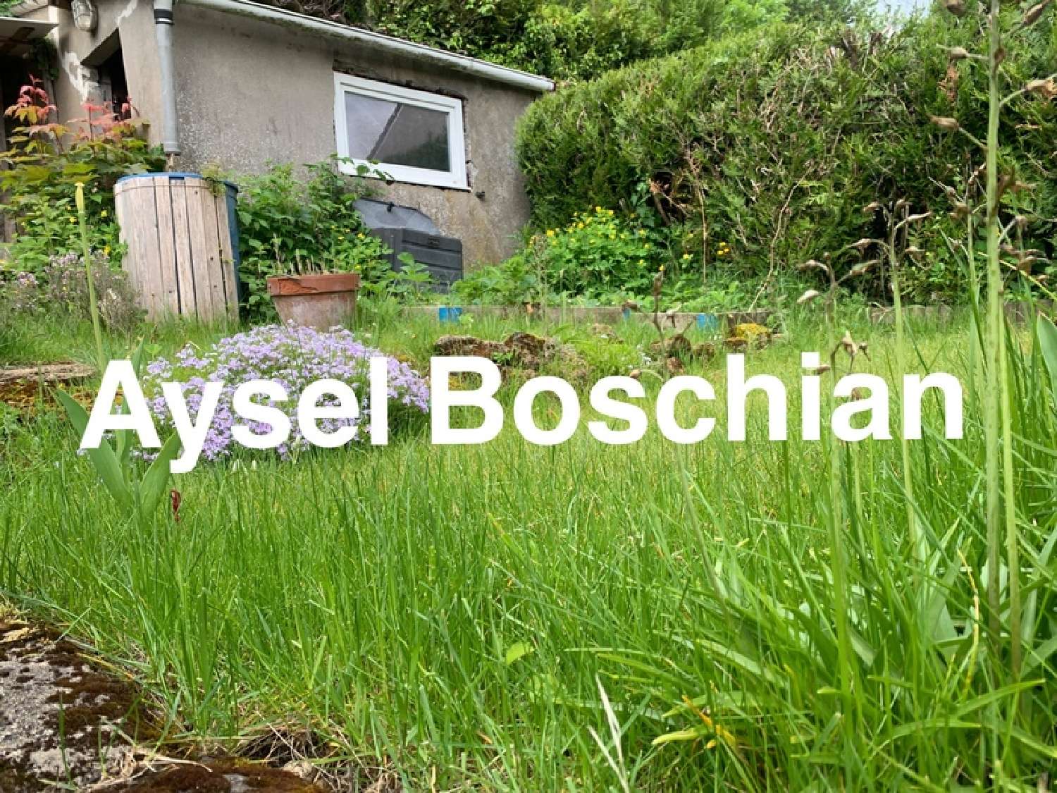  te koop huis Longwy Meurthe-et-Moselle 2