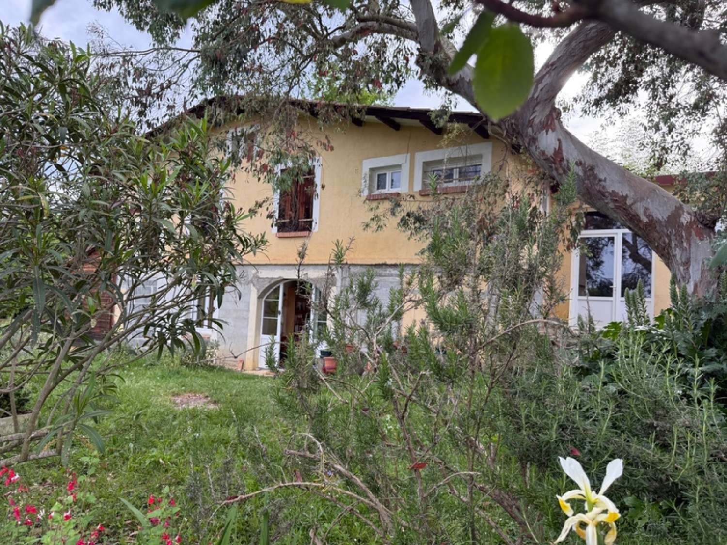  for sale house Louit Hautes-Pyrénées 1