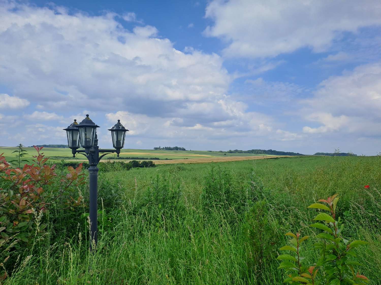  te koop huis Macquigny Aisne 5