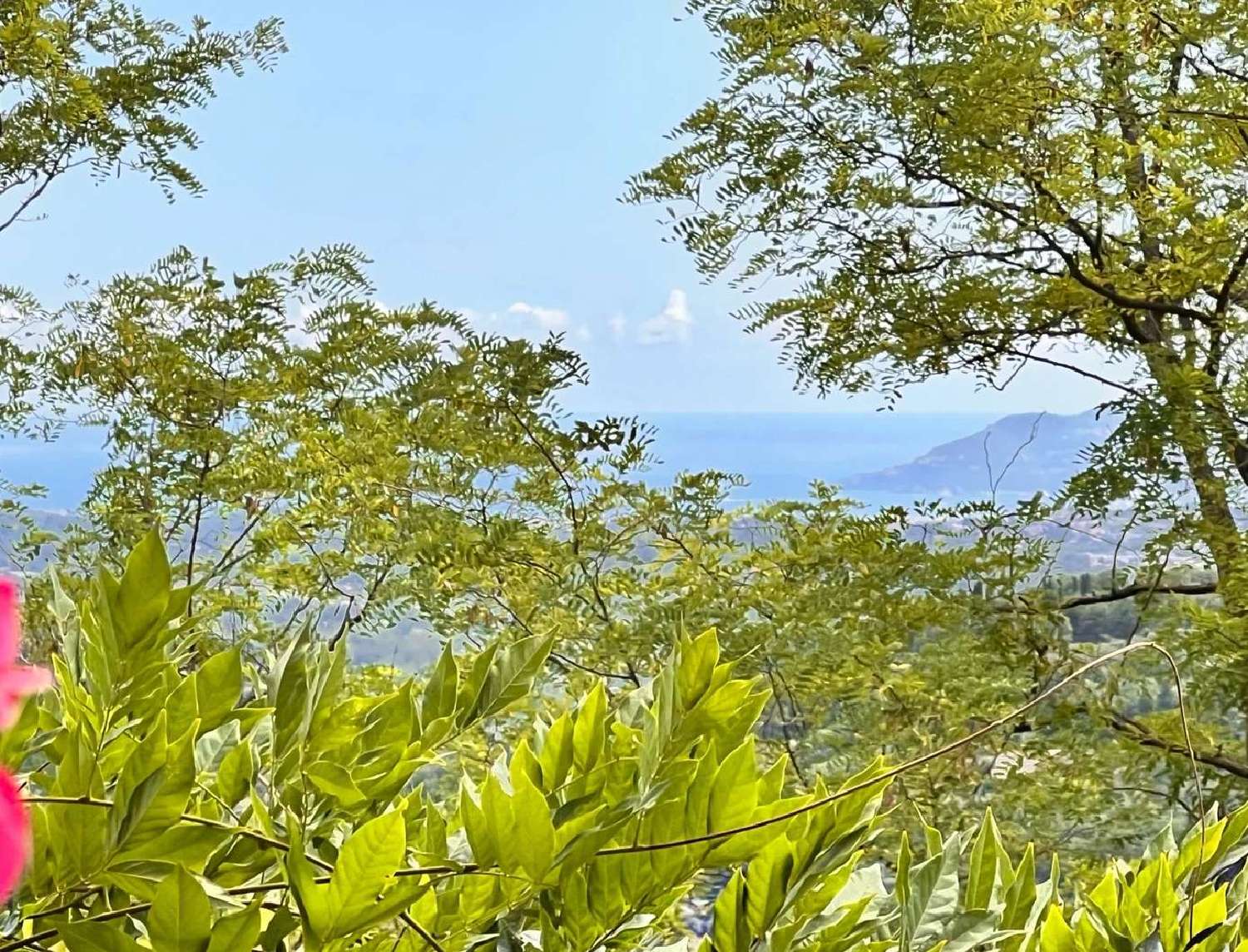  à vendre maison Magagnosc Alpes-Maritimes 6