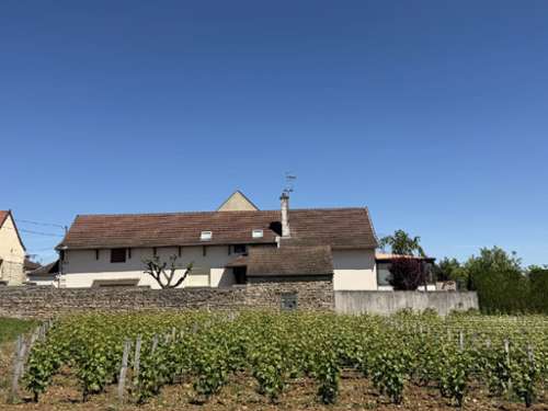 Marsannay-la-Côte Côte-d'Or maison foto 7336898