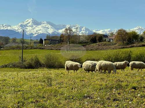 Mascaras Hautes-Pyrénées Haus Bild 7333507
