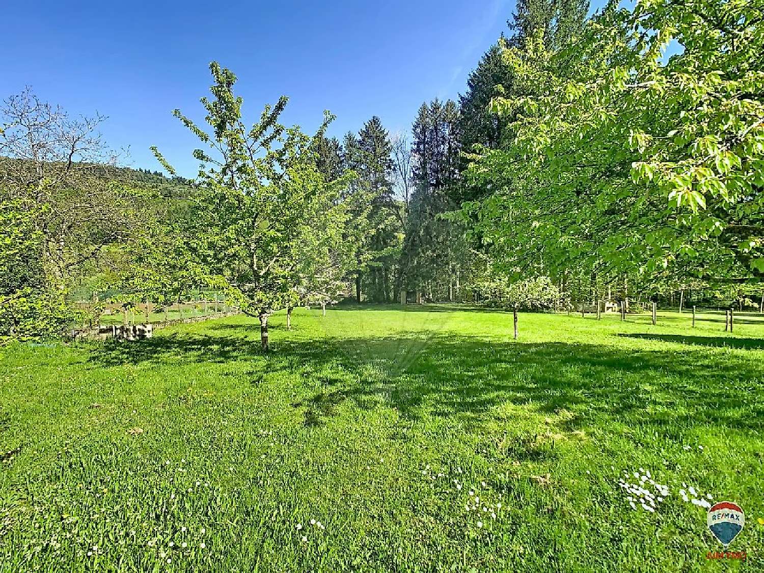 for sale house Masevaux Haut-Rhin 6