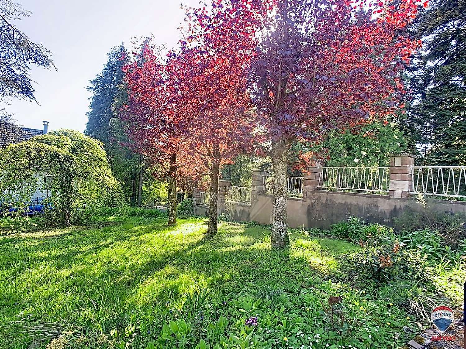  kaufen Haus Masevaux Haut-Rhin 5