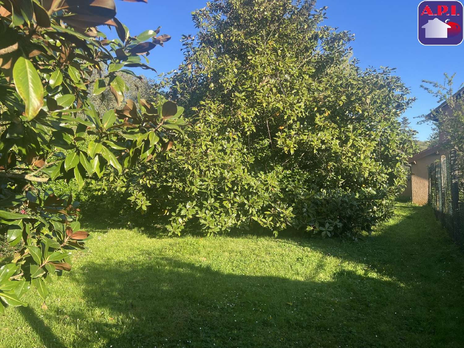  for sale house Mauressac Haute-Garonne 7