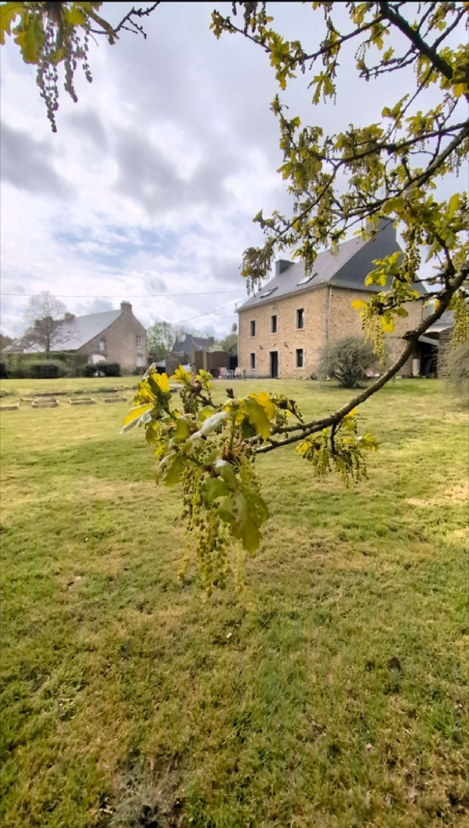  for sale house Meslan Morbihan 3
