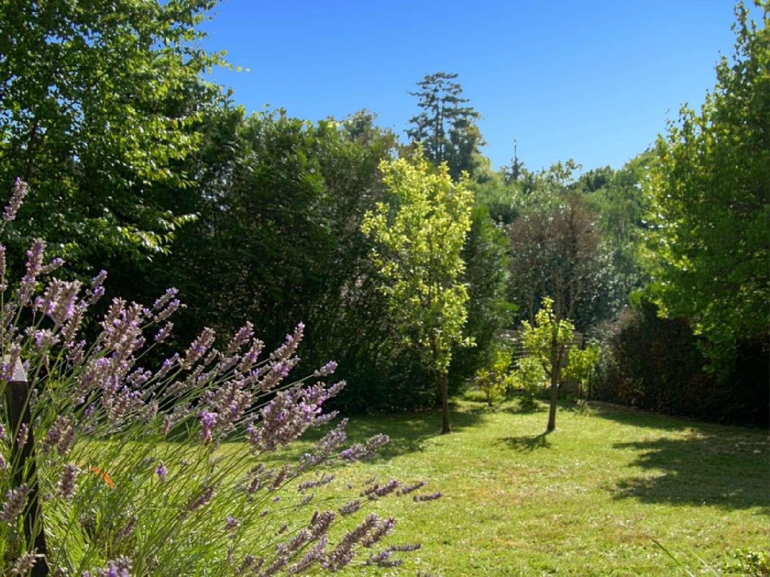  kaufen Haus Millemont Yvelines 3