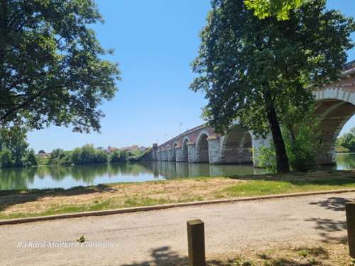 Moissac Tarn-et-Garonne Haus Bild 7347664