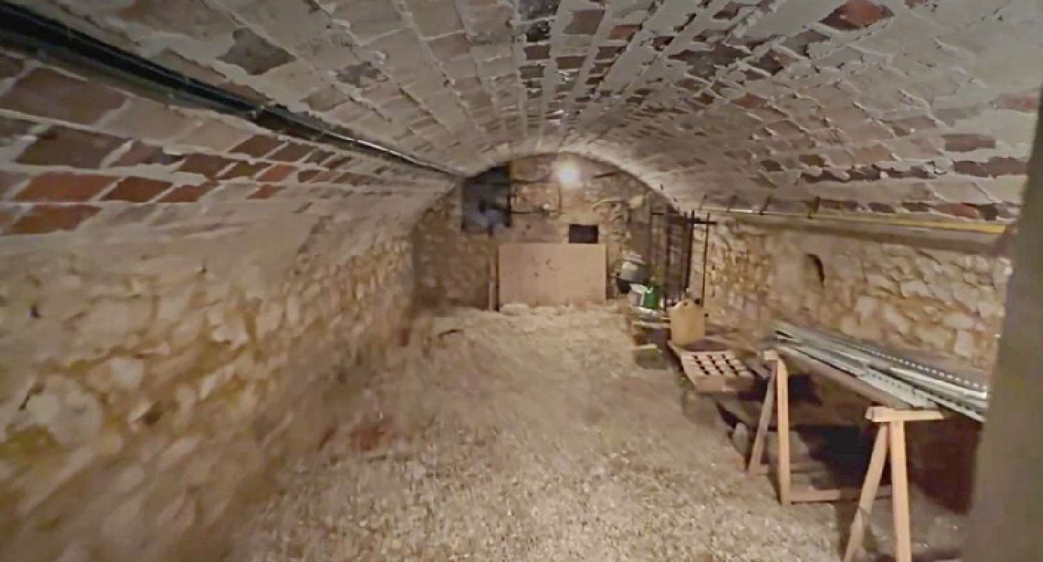  te koop huis Mons-en-Montois Seine-et-Marne 8