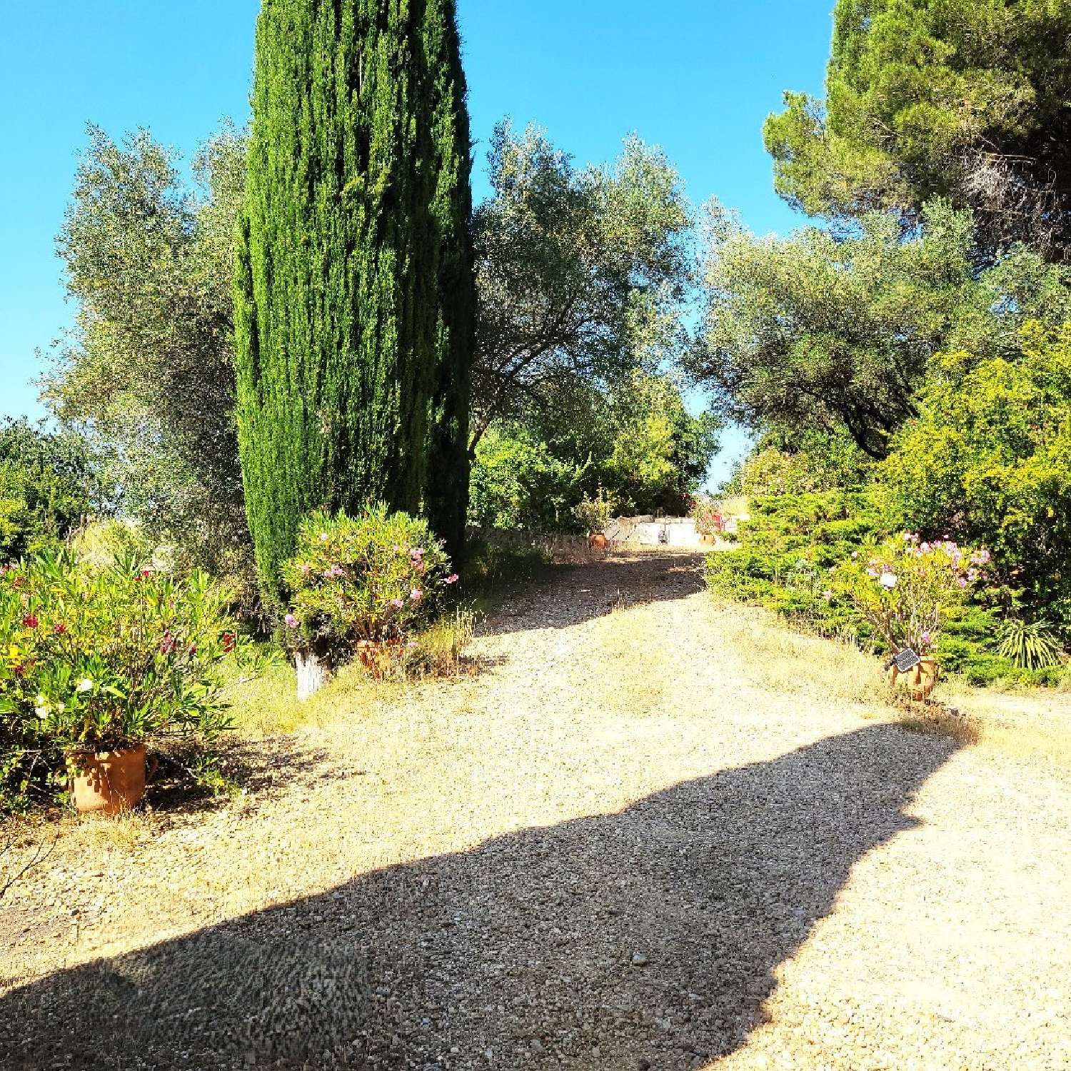 te koop huis Montagnac Hérault 3