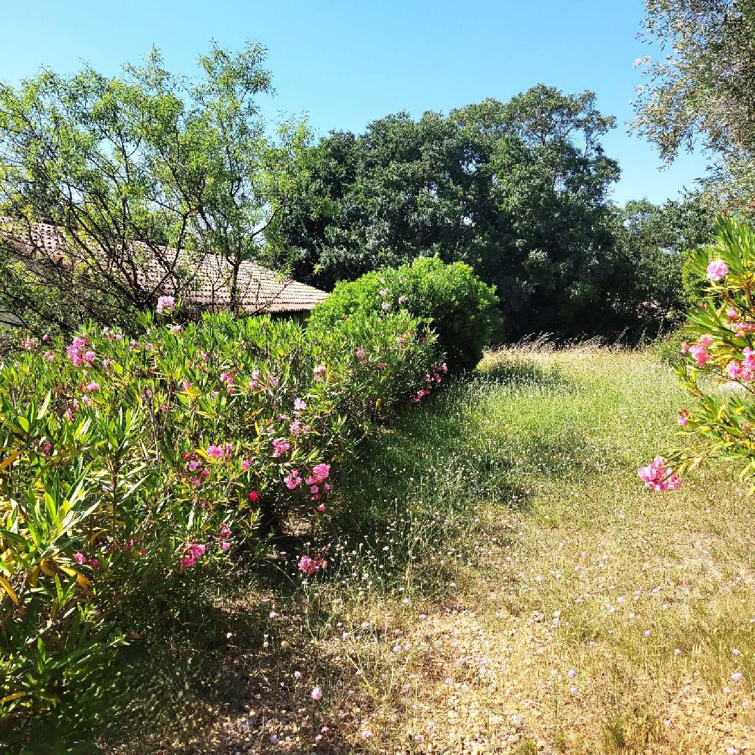 te koop huis Montagnac Hérault 6