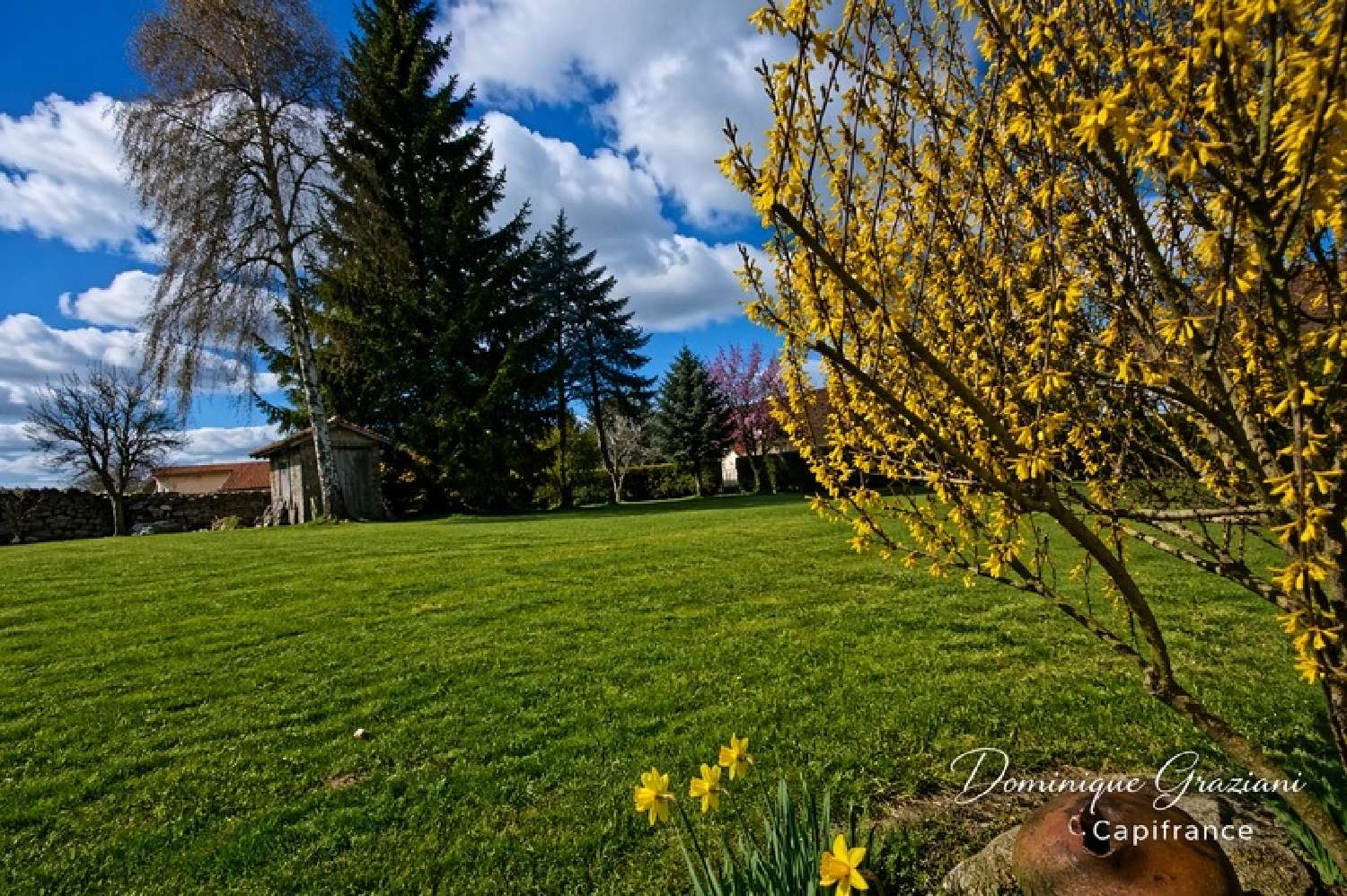 for sale house Montarcher Loire 4