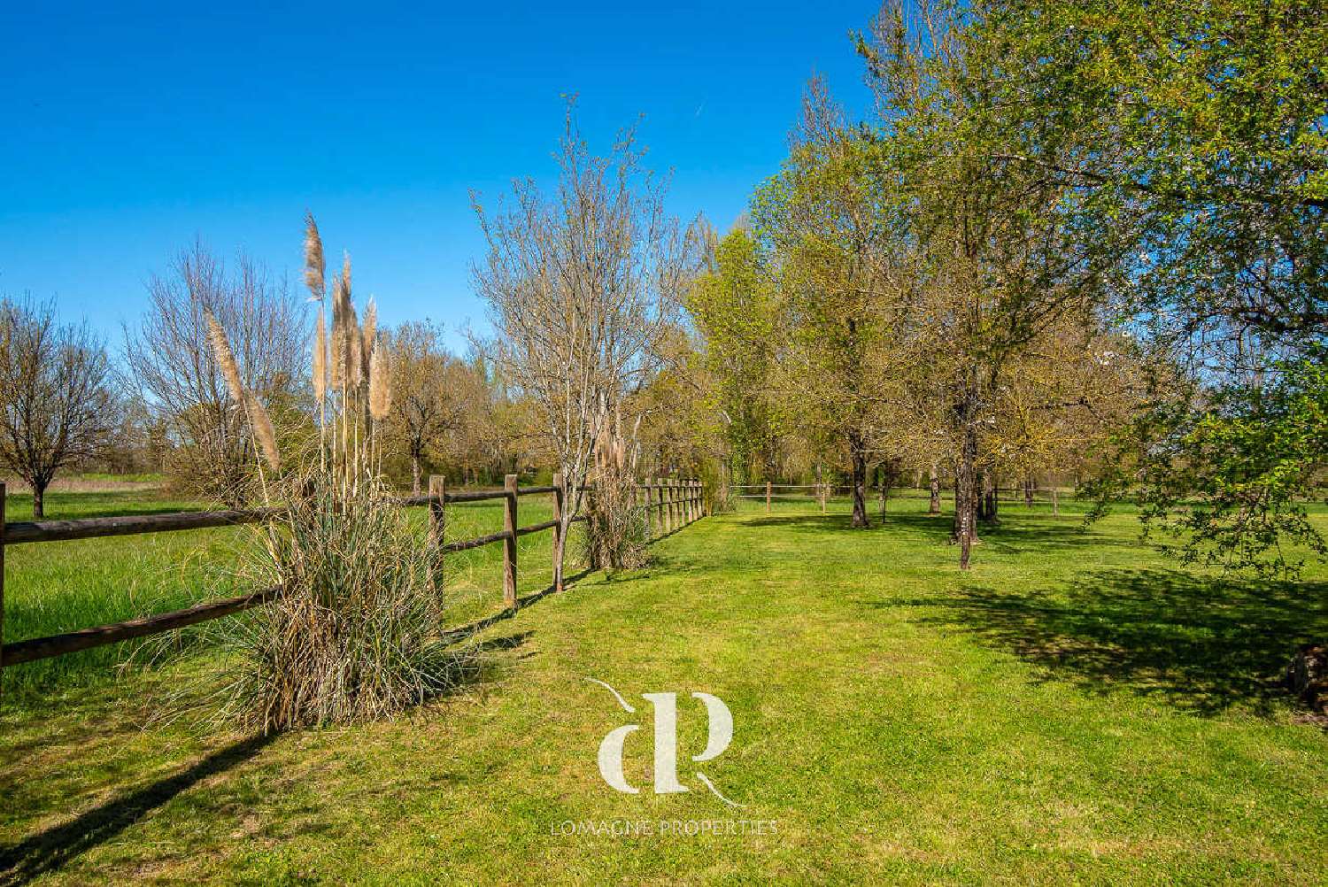 for sale house Montauban Tarn-et-Garonne 3