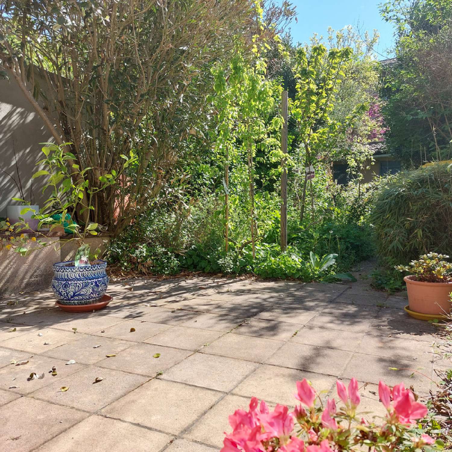  for sale house Montauban Tarn-et-Garonne 2