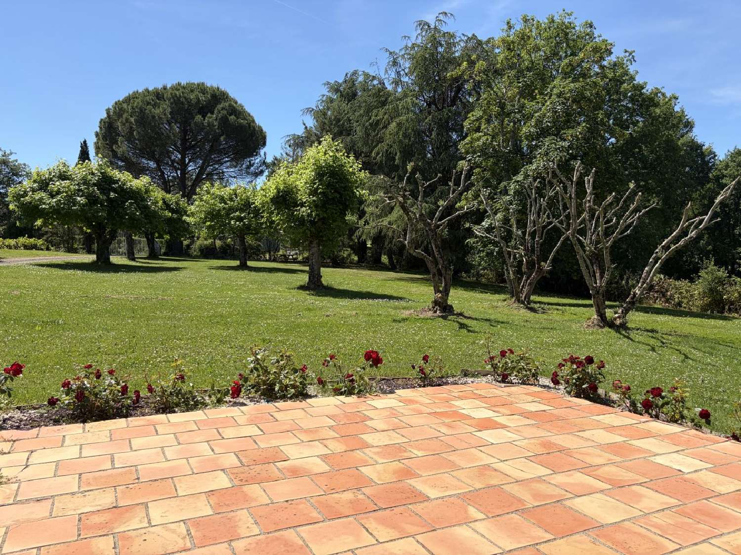 à vendre maison Montauban Tarn-et-Garonne 3