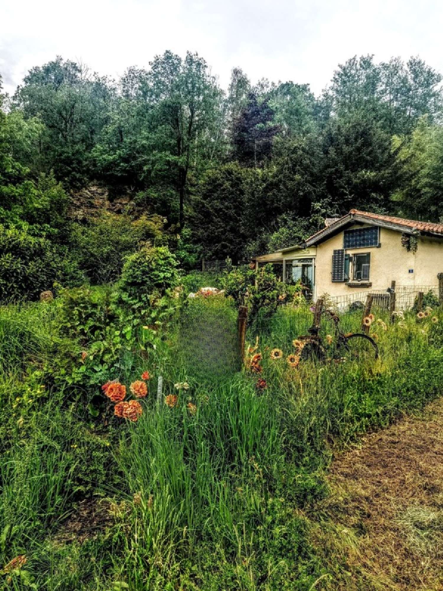  te koop huis Montemboeuf Charente 1