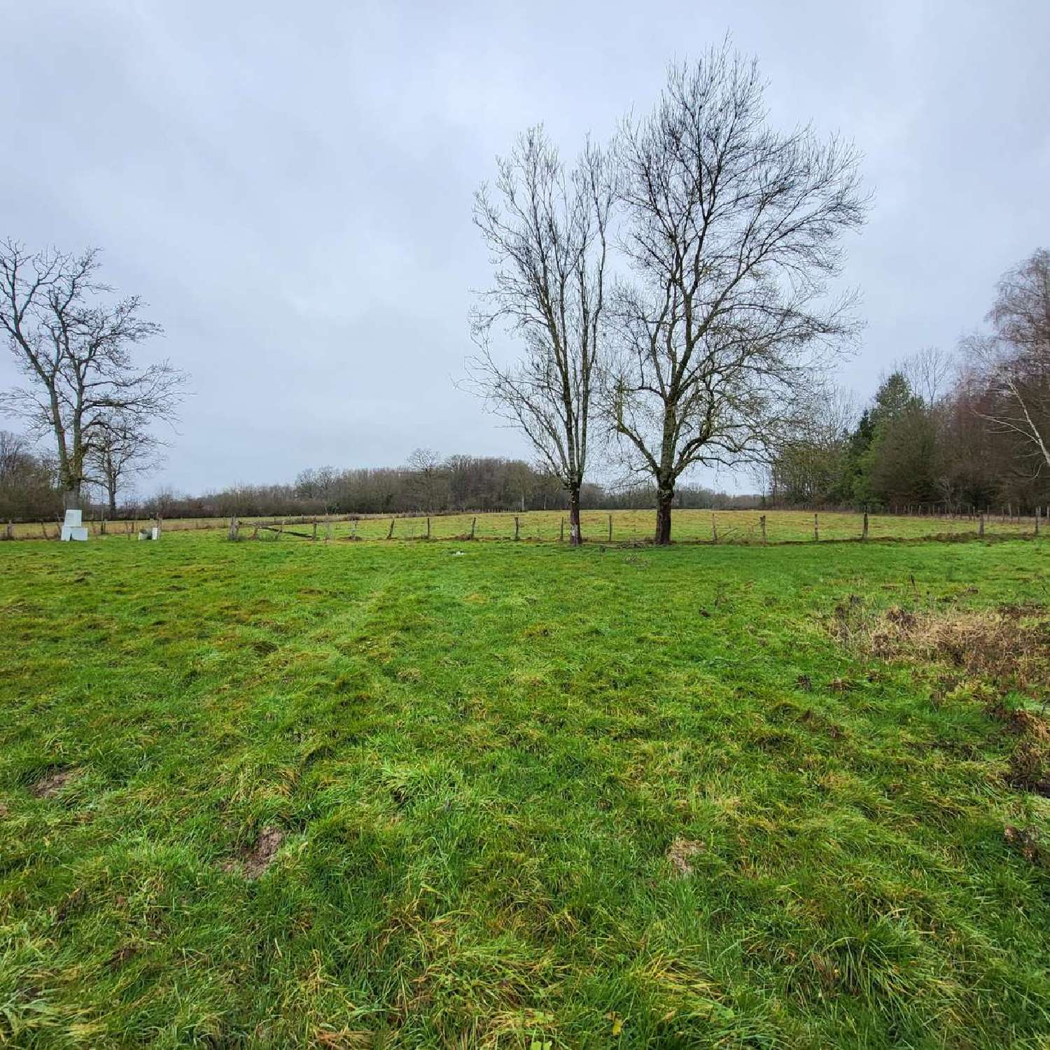 te koop huis Montjay Saône-et-Loire 4