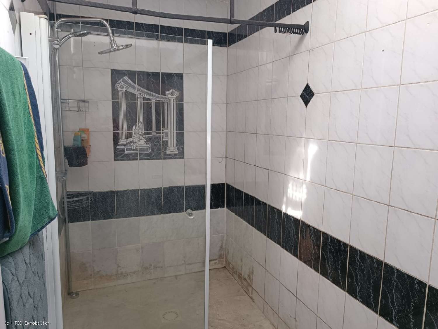  te koop huis Montjean Charente 7