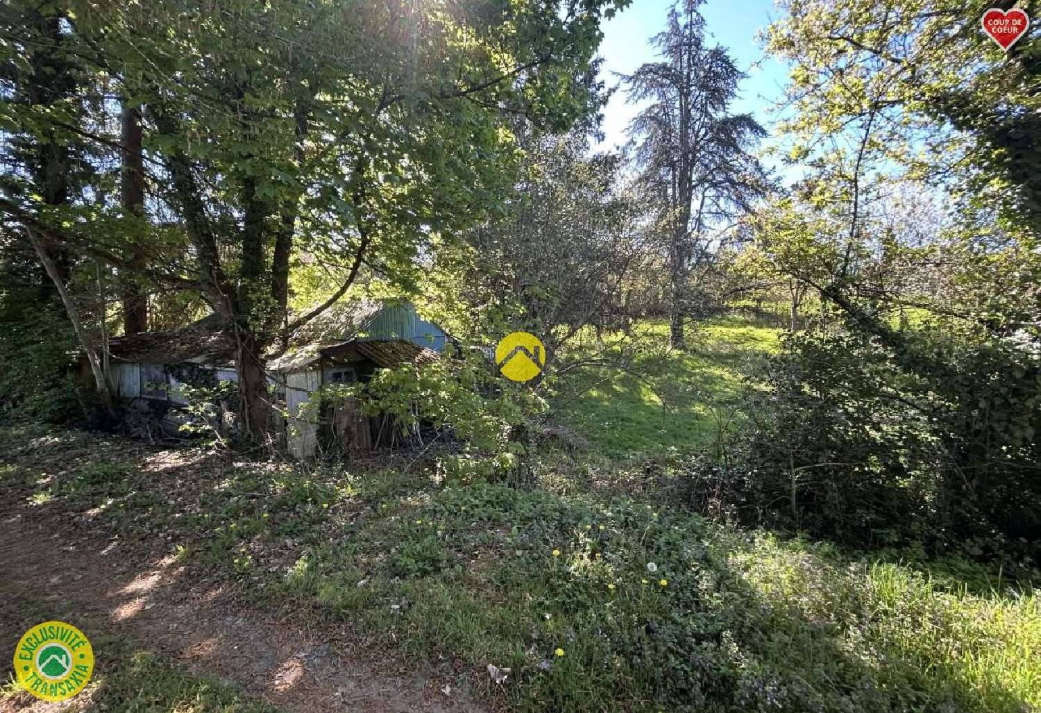  te koop huis Montmarault Allier 3