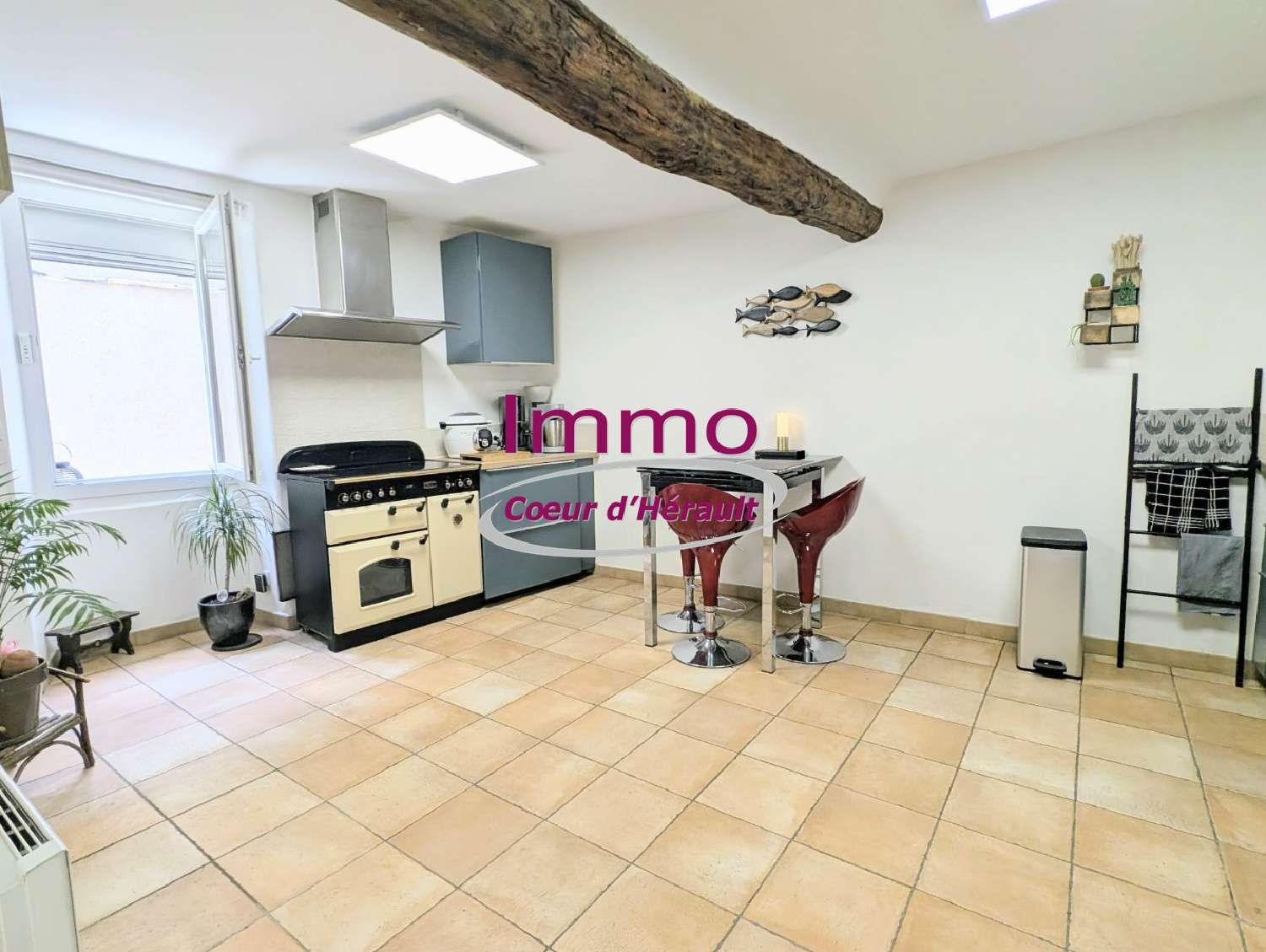  à vendre maison Nébian Hérault 2