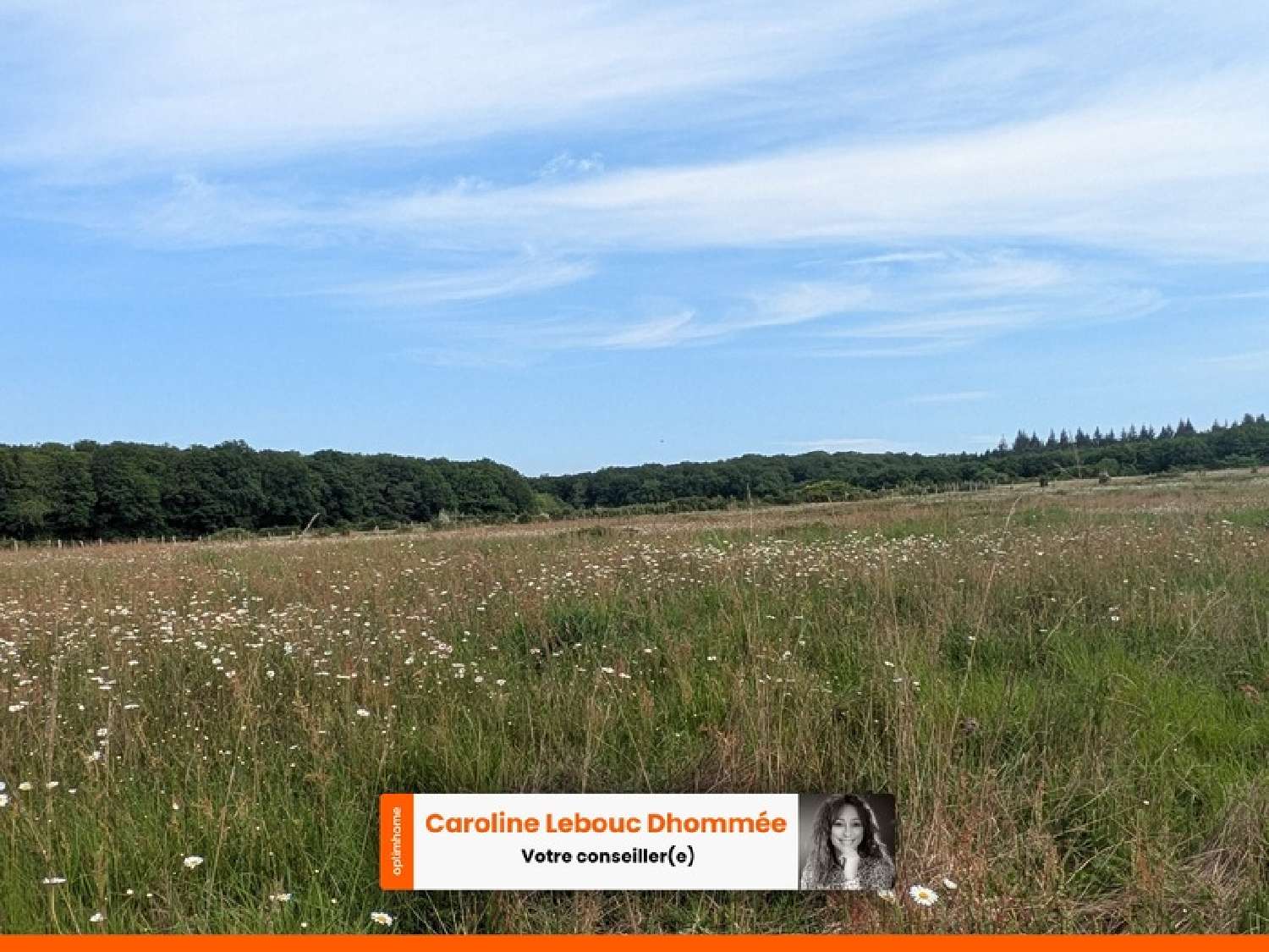 te koop huis Neufchâtel-en-Saosnois Sarthe 2