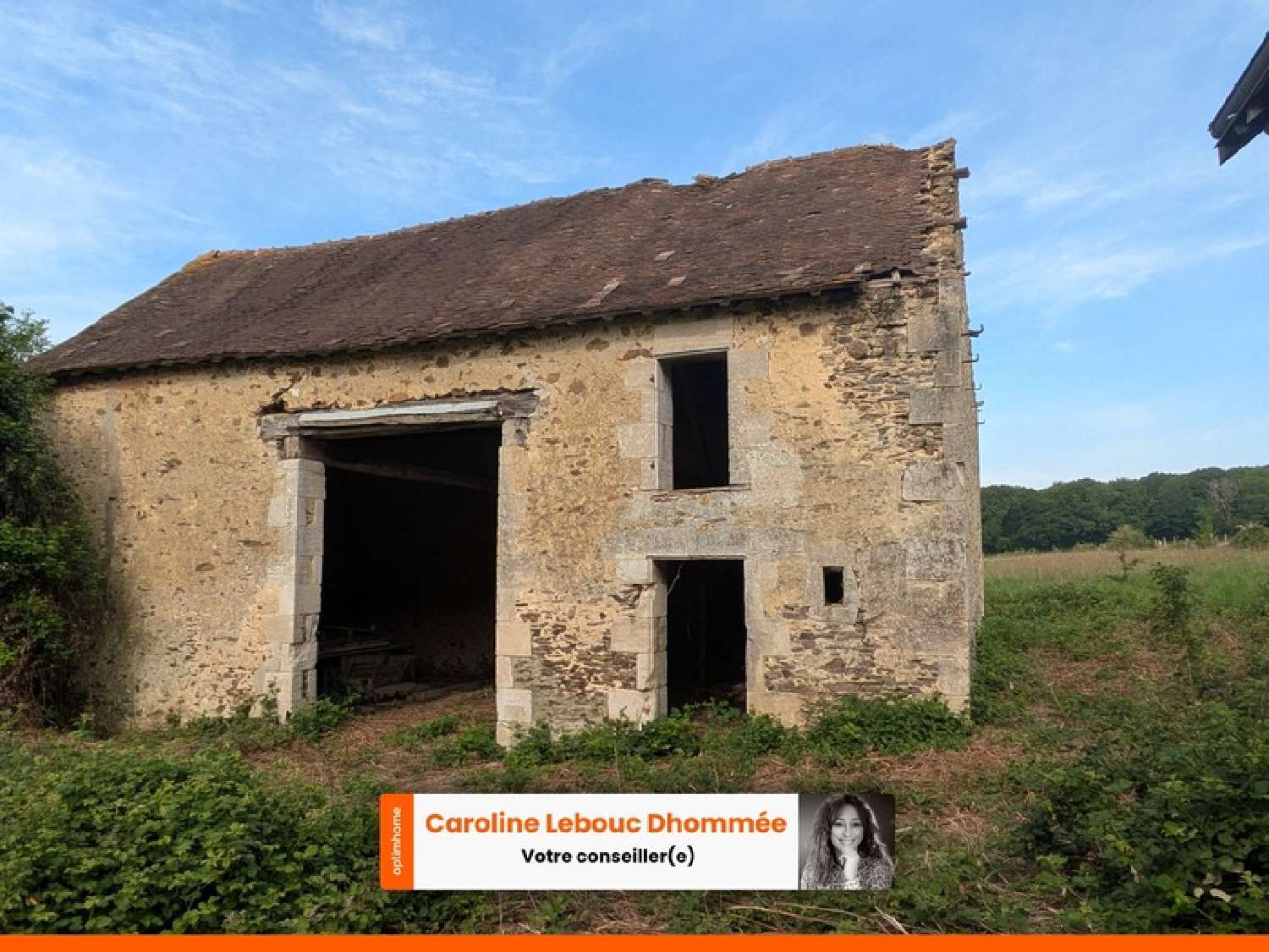 te koop huis Neufchâtel-en-Saosnois Sarthe 4