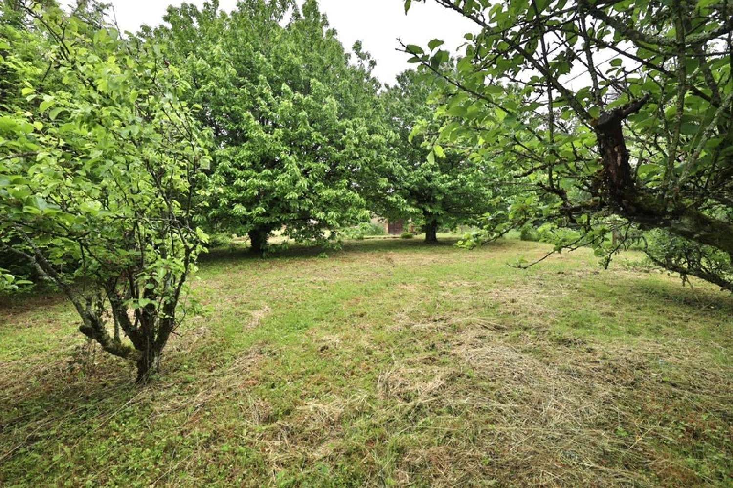  à vendre maison Neuville-sur-Saône Rhône 8