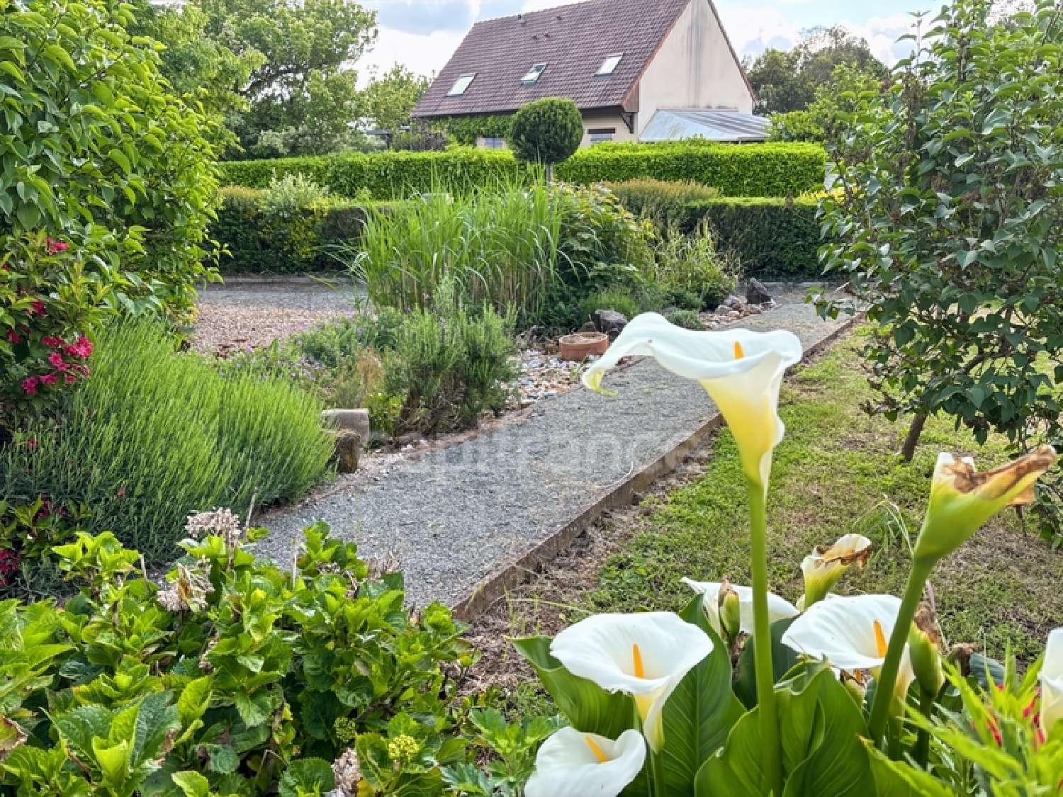 for sale house Neuville-sur-Sarthe Sarthe 5