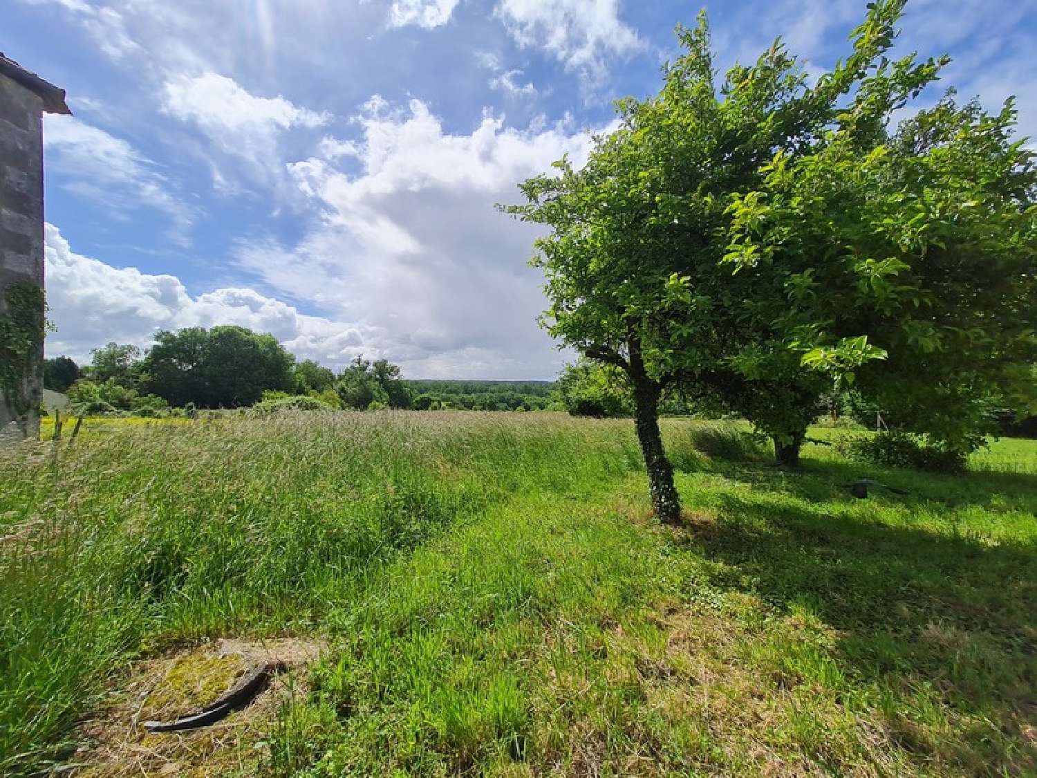 for sale house Nieuil Charente 4