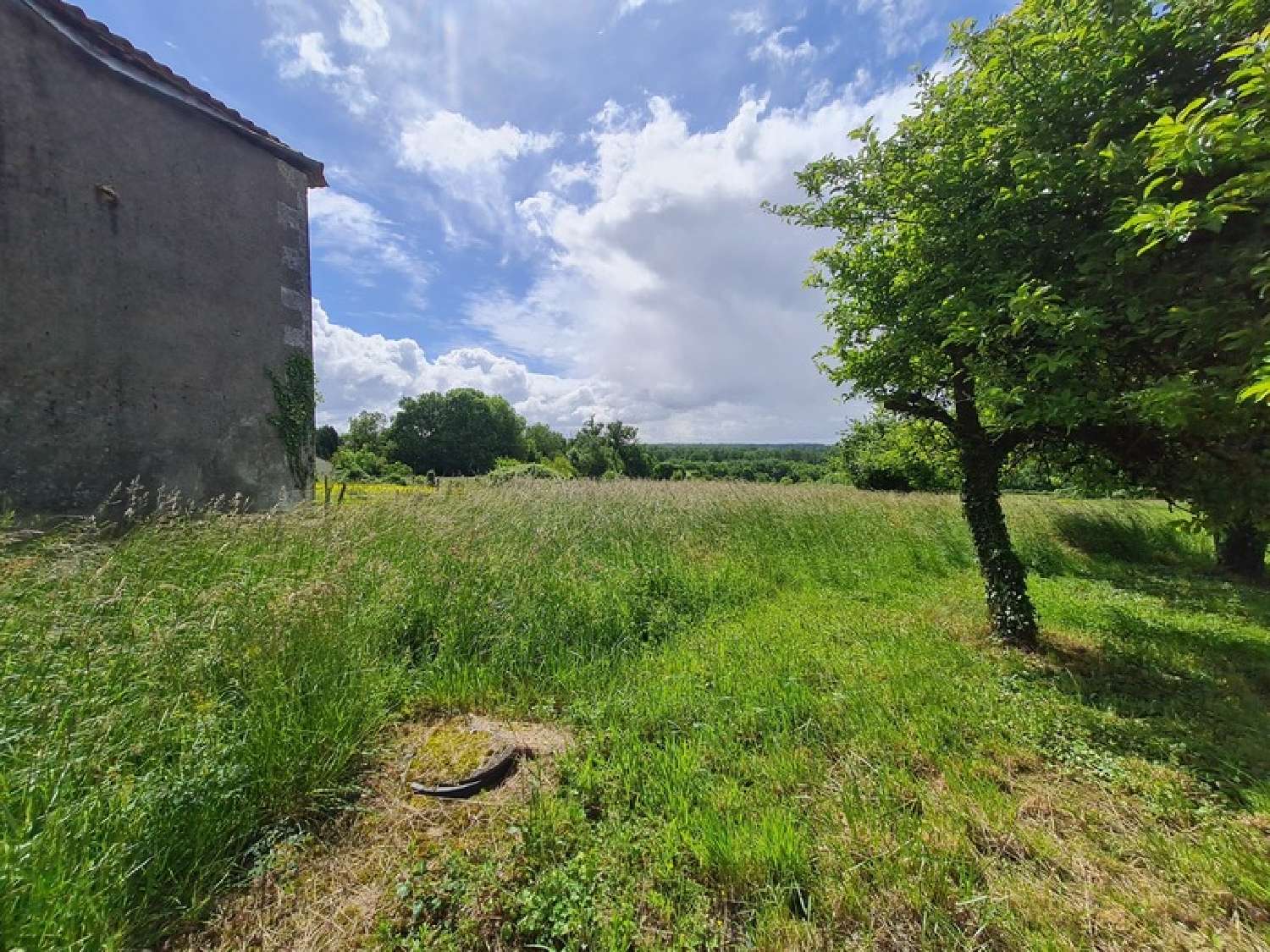 for sale house Nieuil Charente 5