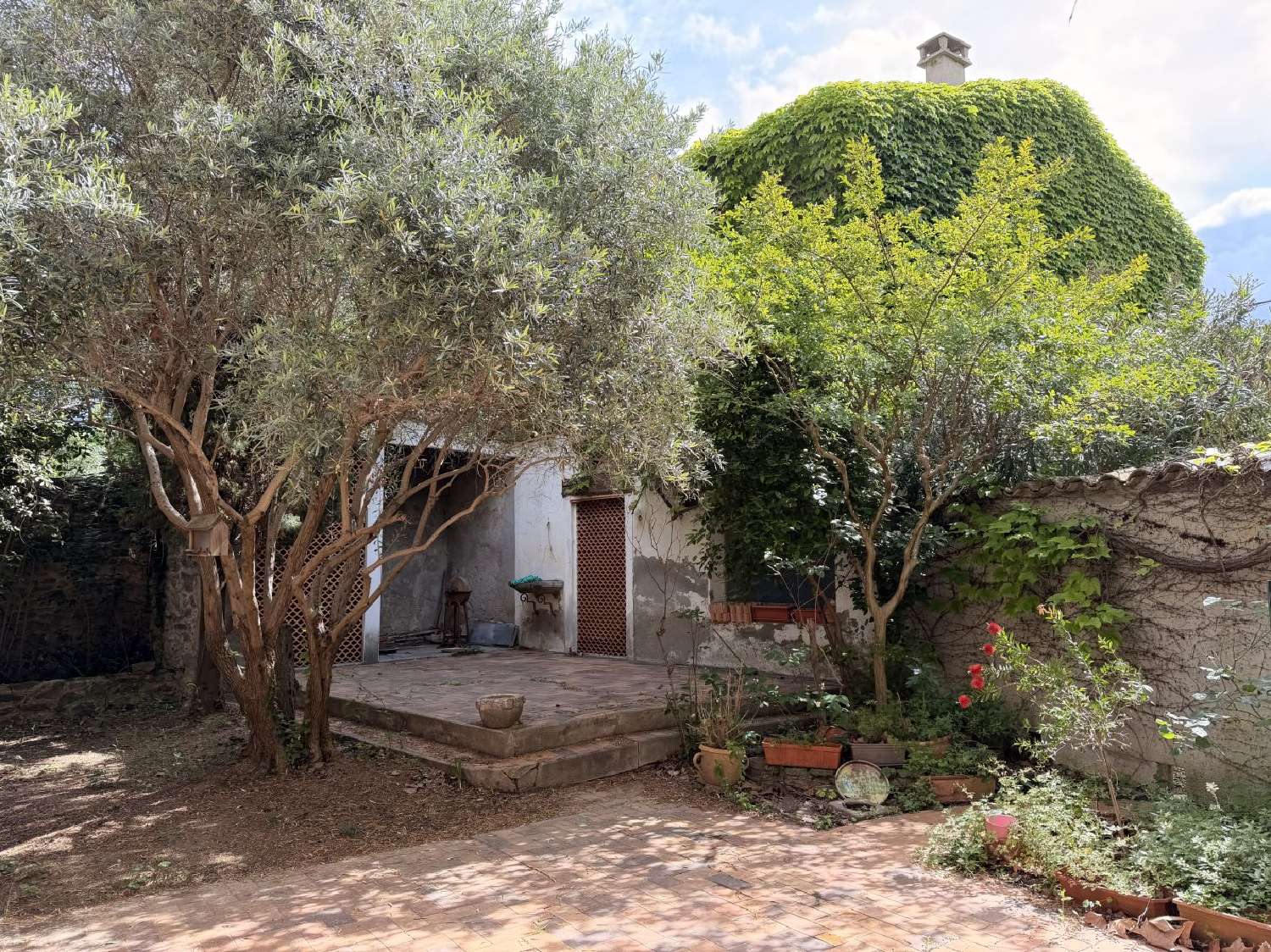  te koop huis Olonzac Hérault 4