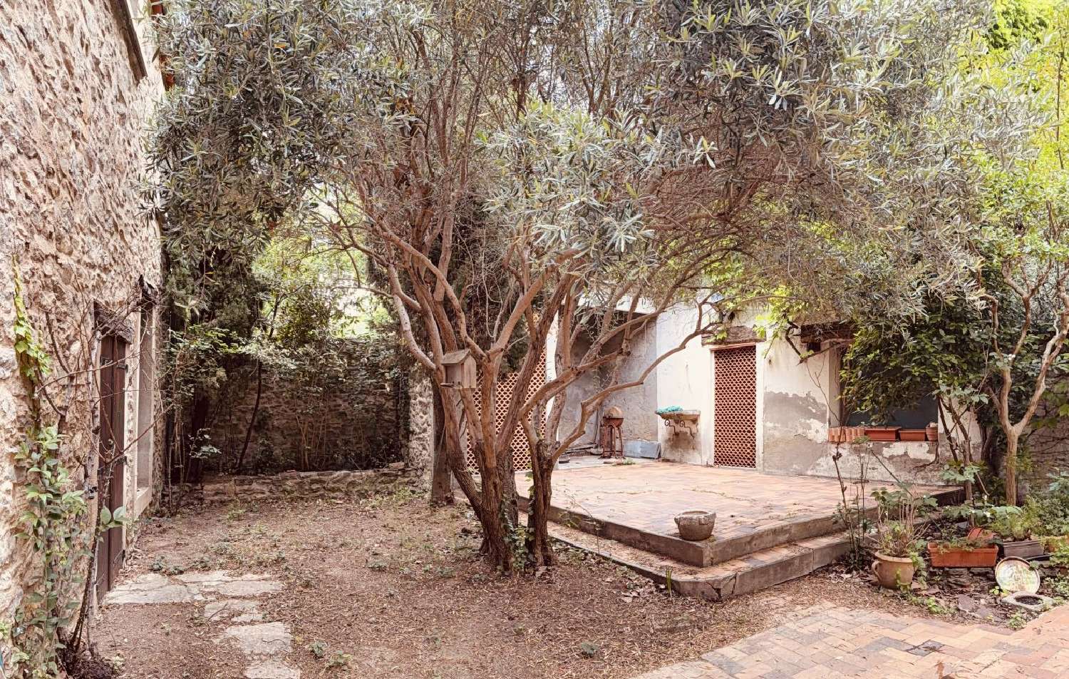 te koop huis Olonzac Hérault 5