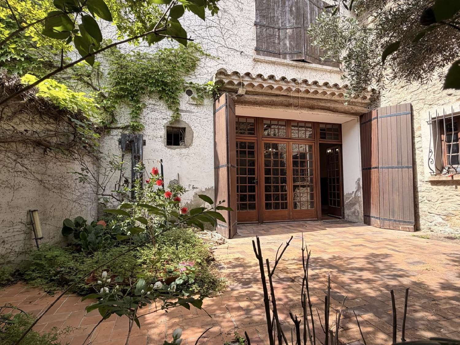 for sale house Olonzac Hérault 1