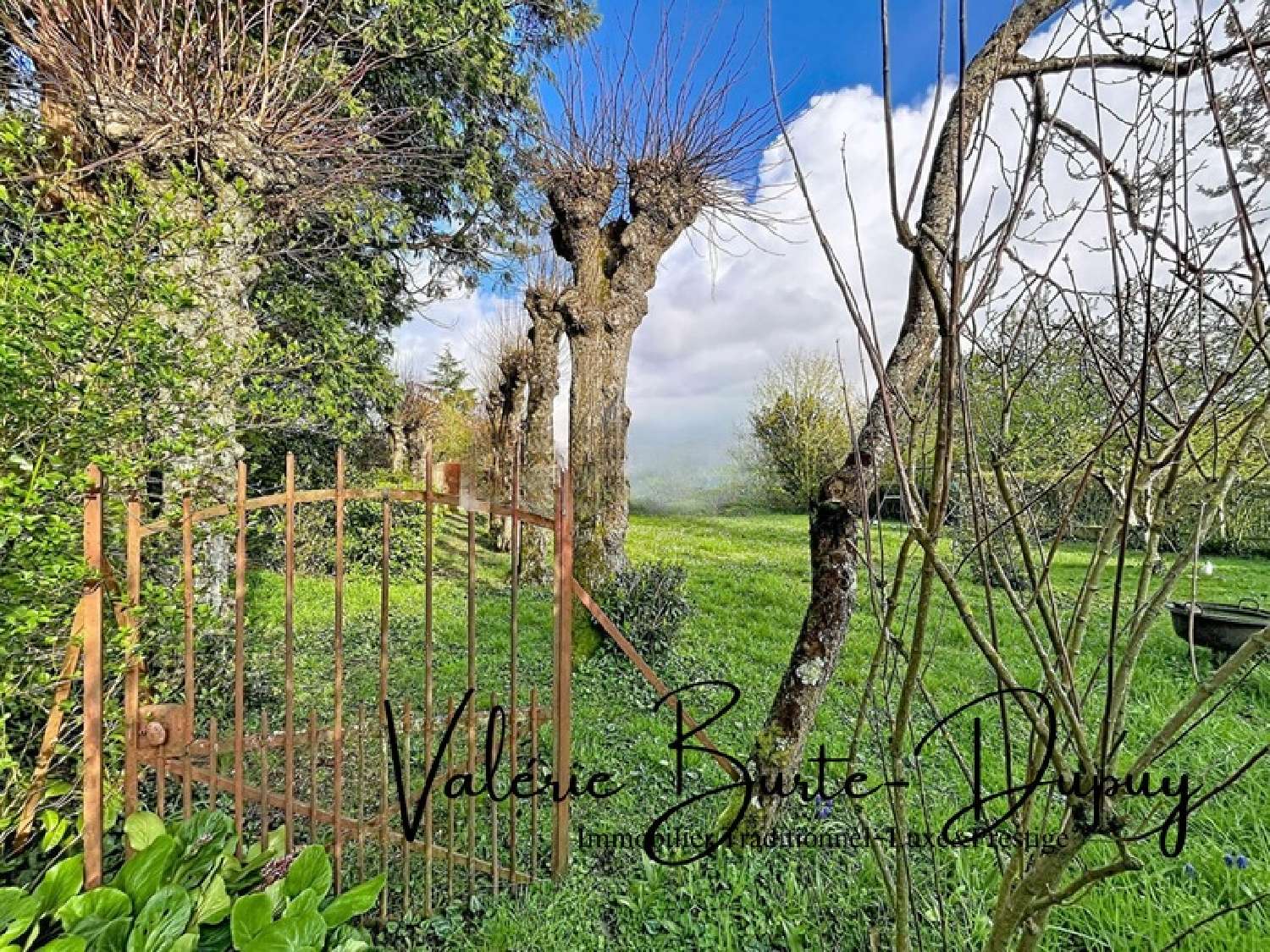  for sale house Orléans Loiret 4