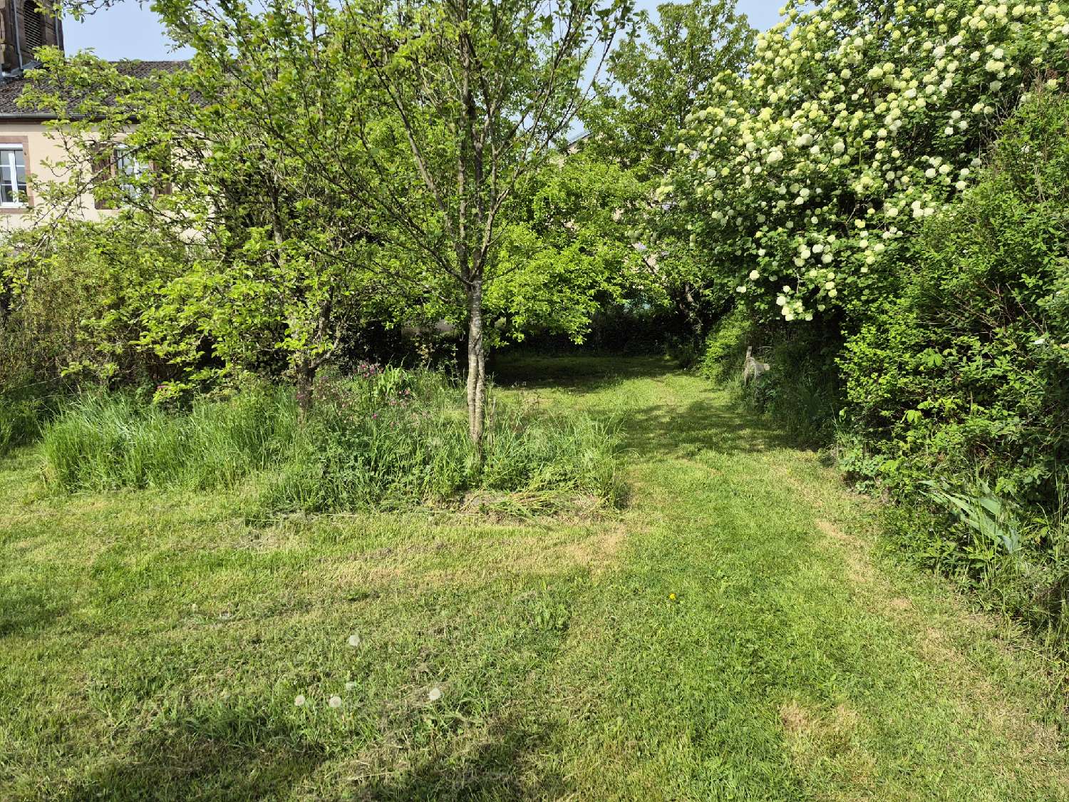  à vendre maison Ormoiche Haute-Saône 5