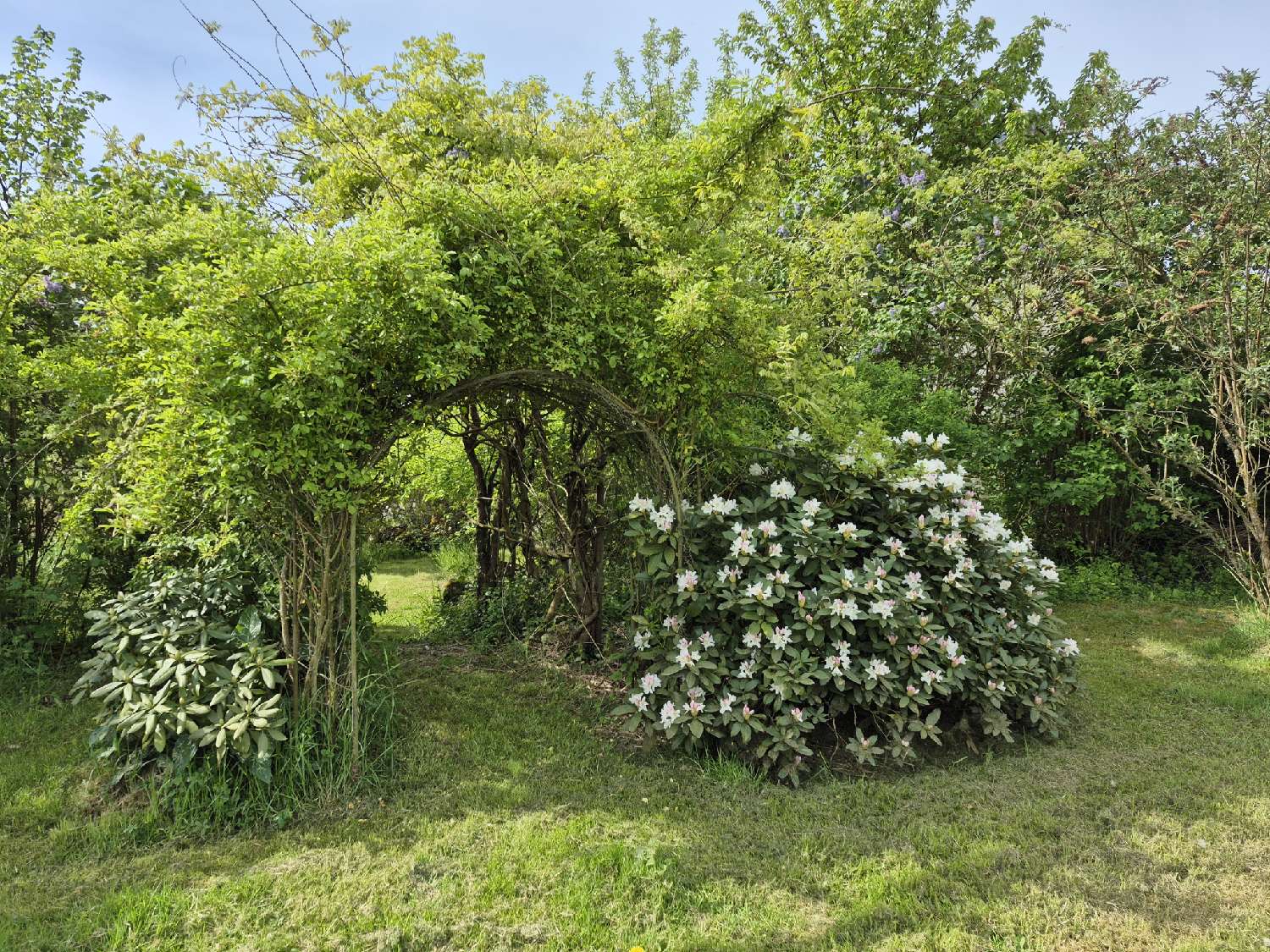  à vendre maison Ormoiche Haute-Saône 6
