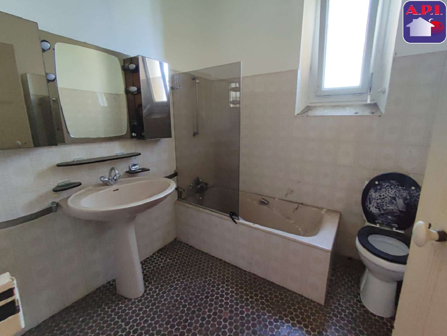  te koop huis Pamiers Ariège 8