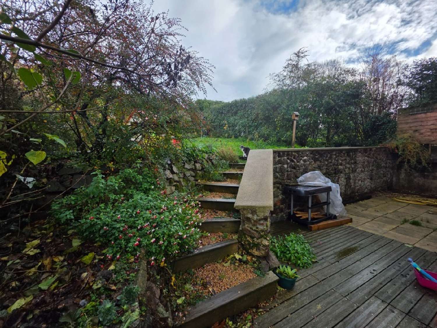  à vendre maison Panissières Loire 1