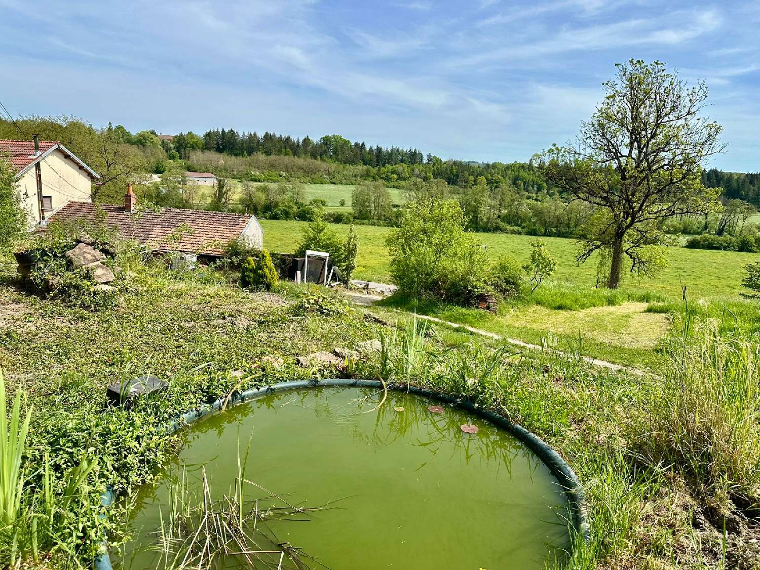  for sale house Passavant-la-Rochère Haute-Saône 4