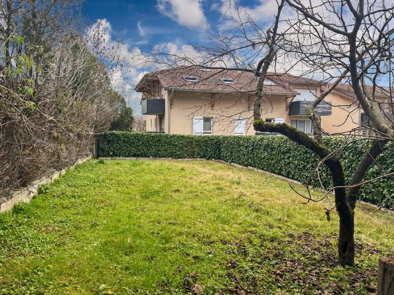  à vendre maison Péron Ain 3